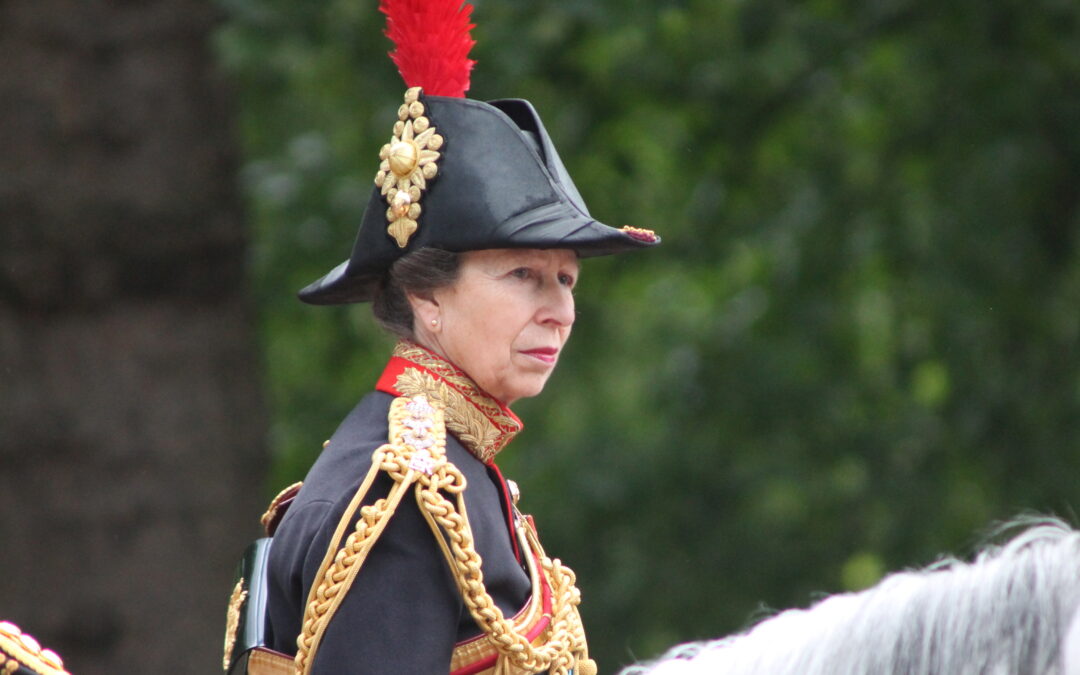 It’s official: Princess Anne to take over Prince Harry’s role with Royal Marines