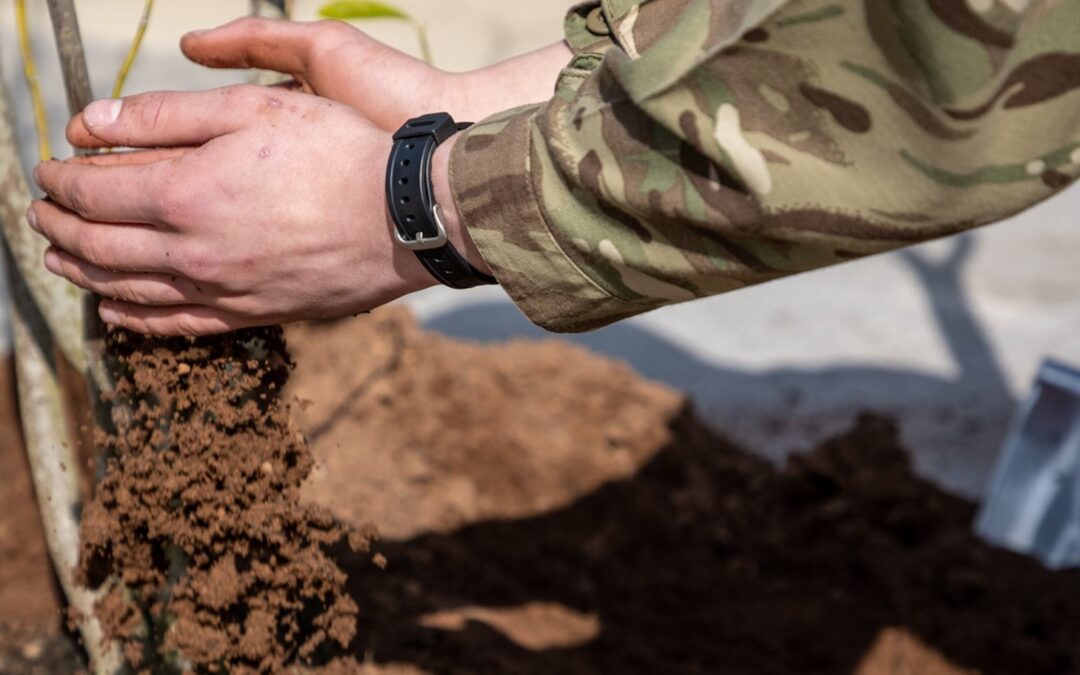 British Army to tackle Climate Change with 2 million trees