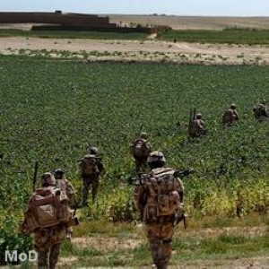 Volunteer soldiers ‘are saving lives in the UK’