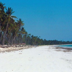 Soldiers ‘should pop the question on a beach’