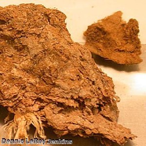 British man deep in poo after falling into manhole