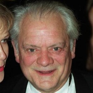 Del Boy impersonator questioned over blow-up doll in van