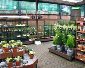 Garden centre selling broomsticks for Help for Heroes