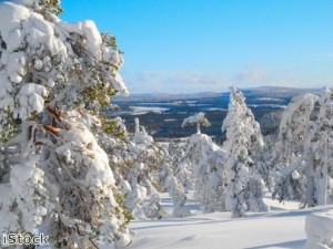 Doctors complete Lapland marathon for Combat Stress