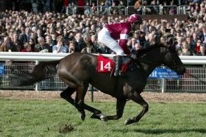 H4H family fun day due to take place