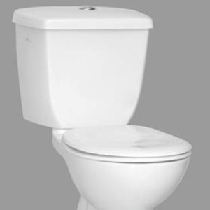 Plumber constructs world’s fastest toilet