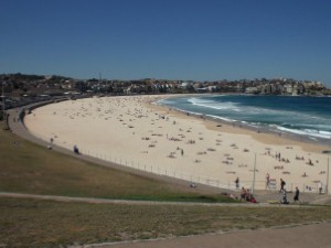 Surfer knocked out by whale off Bondi beach