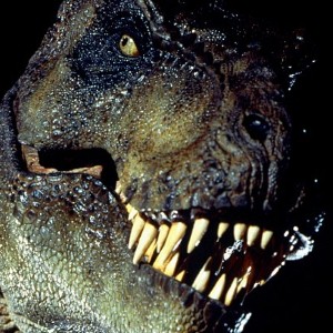 Couple gets a shock after meeting Tree Rex