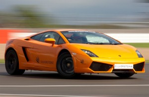 Courageous squirrel survives Lamborghini encounter