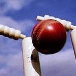 Northamptonshire cricketer Alex Wakely raises £2,800 for charity