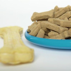 Dog disqualified from Crufts for pooing