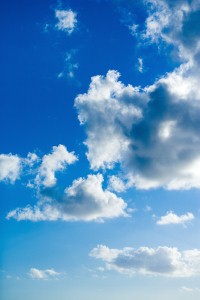 Dog’s toilet antics cause unscheduled plane landing