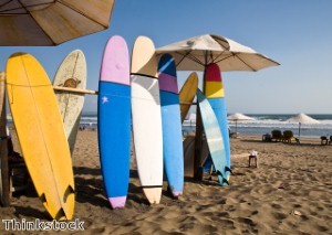 Dogs catch some waves in surfing contest