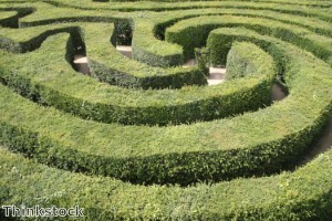 Family gets lost in world’s largest maze and calls police for rescue