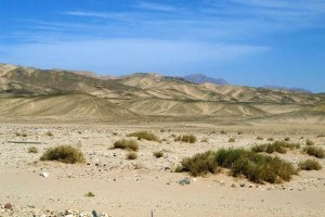 Friends to trek 60 miles in Middle East for H4H