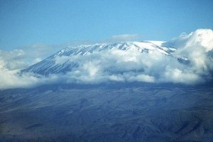 Group climb Mt Kilimanjaro for military charity
