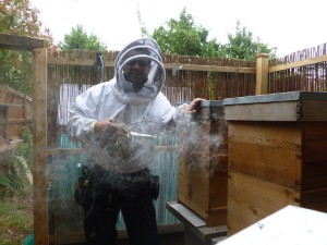 Army captain turned beekeeper wins award