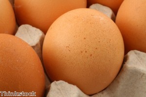 Life-sized tank made out of egg cartons