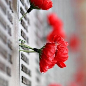 North-east raises £1m for Poppy Appeal