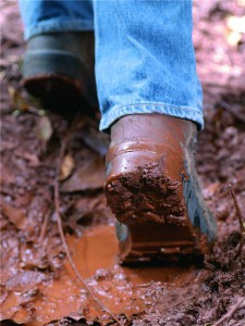 Participants in 52-mile walk raise cash for ABF