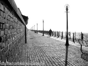 Reporter walks into lamp post on live TV