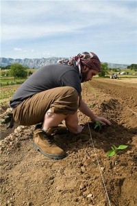 Single people to try out weed dating?