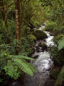 Sisters complete Costa Rican trek for military charity