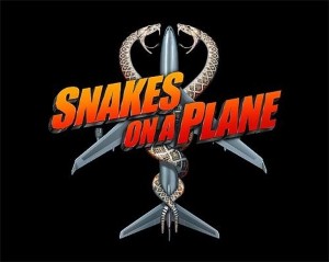 Snake found on plane mid-air