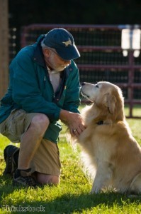 Sponsored dog march to raise Help for Heroes cash