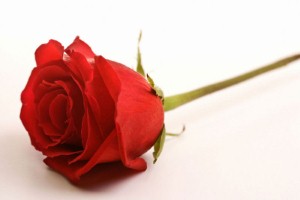 Valentine’s Day will cost consumers £125