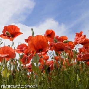 Centenary day: Britain entered WW1 a century ago today